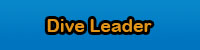 Dive Leader