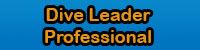 Dive Leader Pro